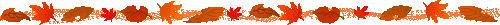 11LINE
