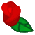 4ICON
