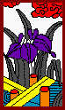 5ICON