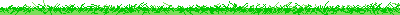 5LINE